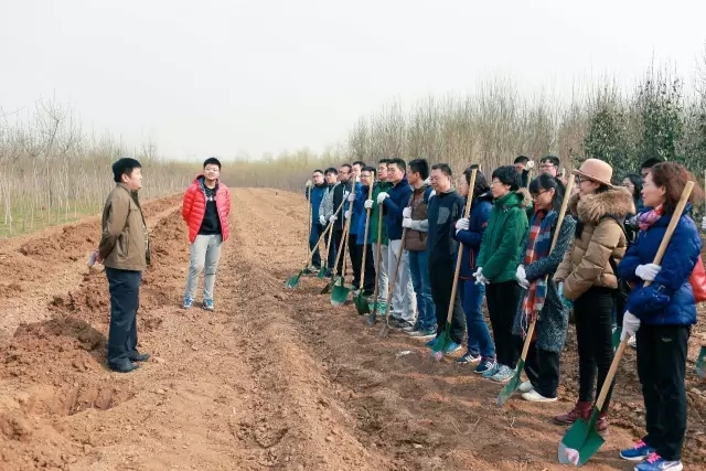 春风十里不及一抹绿 | 集团开展义务植树活动